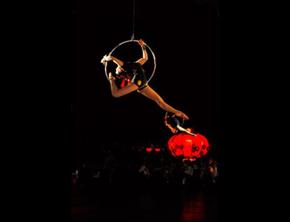 Aerialists Brisbane - Trapeze Artists - Aerial Entertainment